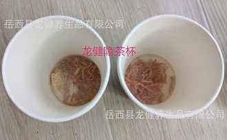 <b>龙健隐茶杯金花茶与虫草花杯茶广告杯茶定制礼品杯茶定制</b>