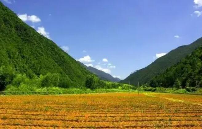 农业农村部国家乡村振兴局与中国工商银行签署战略合作协议